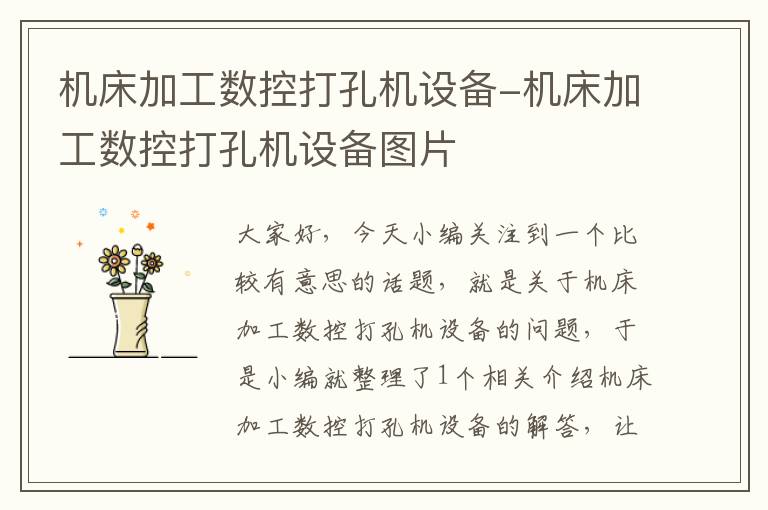 机床加工数控打孔机设备-机床加工数控打孔机设备图片