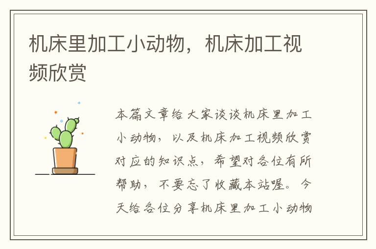 机床里加工小动物,机床加工视频欣赏