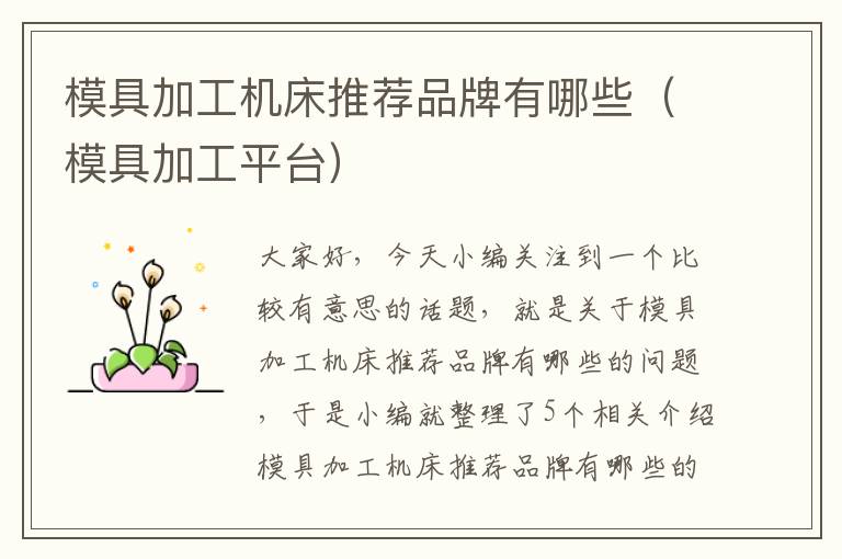 模具加工机床推荐品牌有哪些(模具加工平台)
