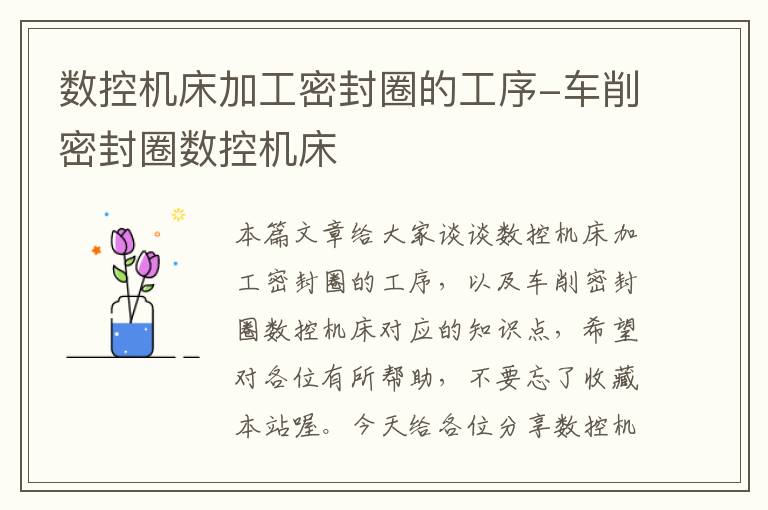 数控机床加工密封圈的工序-车削密封圈数控机床