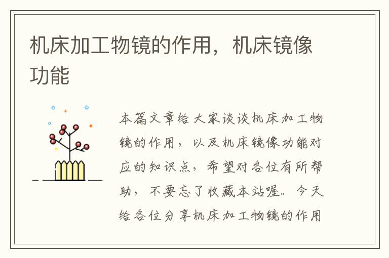 机床加工物镜的作用,机床镜像功能