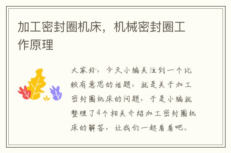 加工密封圈机床,机械密封圈工作原理
