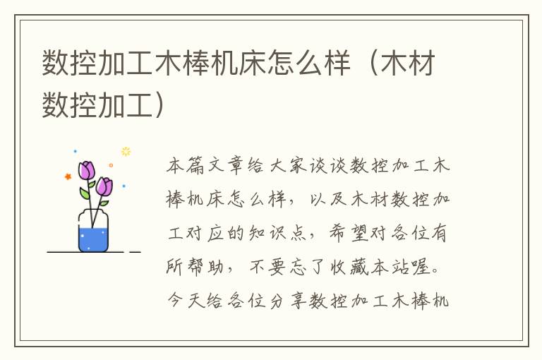 数控加工木棒机床怎么样(木材数控加工)