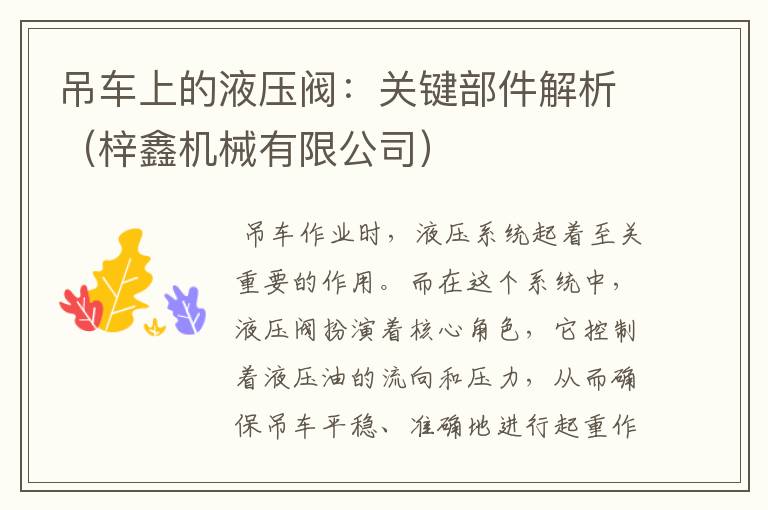 吊车上的液压阀:关键部件解析(梓鑫机械有限公司)