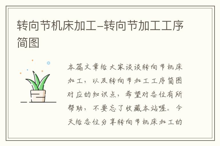 转向节机床加工-转向节加工工序简图