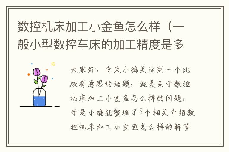 数控机床加工小金鱼怎么样(一般小型数控车床的加工精度是多少?)