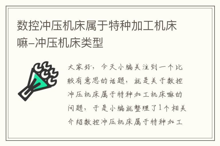 数控冲压机床属于特种加工机床嘛-冲压机床类型