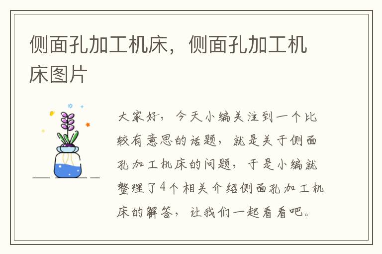 侧面孔加工机床,侧面孔加工机床图片