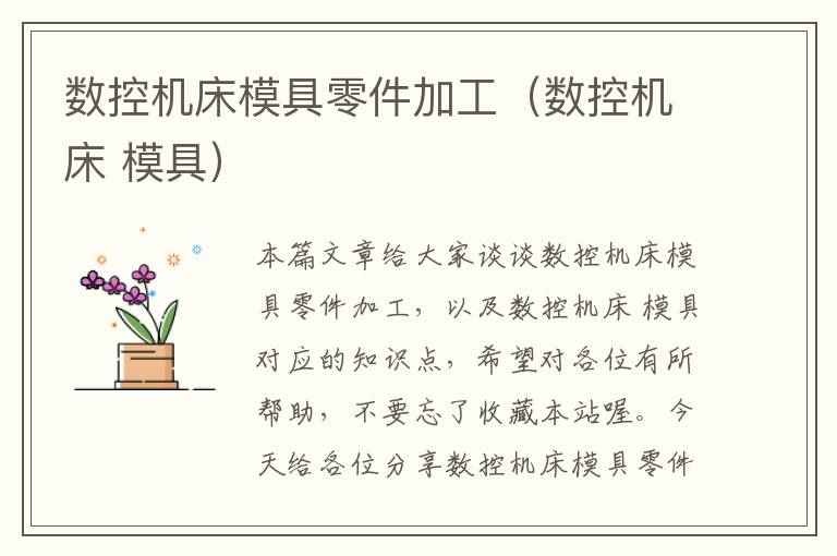 数控机床模具零件加工(数控机床 模具)