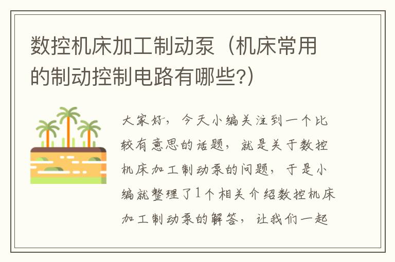 数控机床加工制动泵(机床常用的制动控制电路有哪些?)
