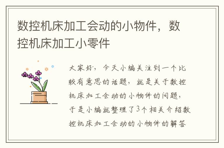 数控机床加工会动的小物件,数控机床加工小零件