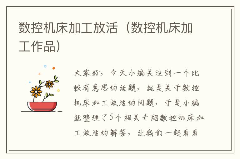 数控机床加工放活（数控机床加工作品）