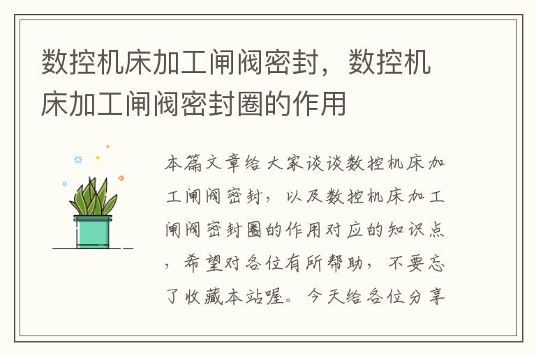 数控机床加工闸阀密封,数控机床加工闸阀密封圈的作用