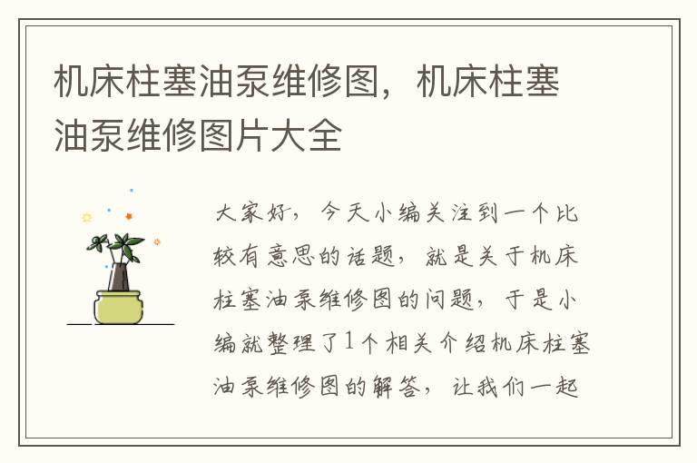机床柱塞油泵维修图,机床柱塞油泵维修图片大全