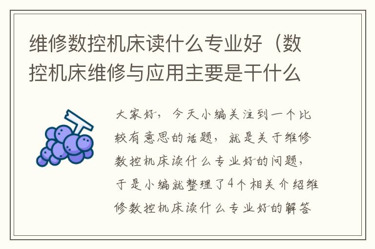 维修数控机床读什么专业好(数控机床维修与应用主要是干什么)