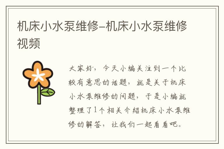 机床小水泵维修-机床小水泵维修视频
