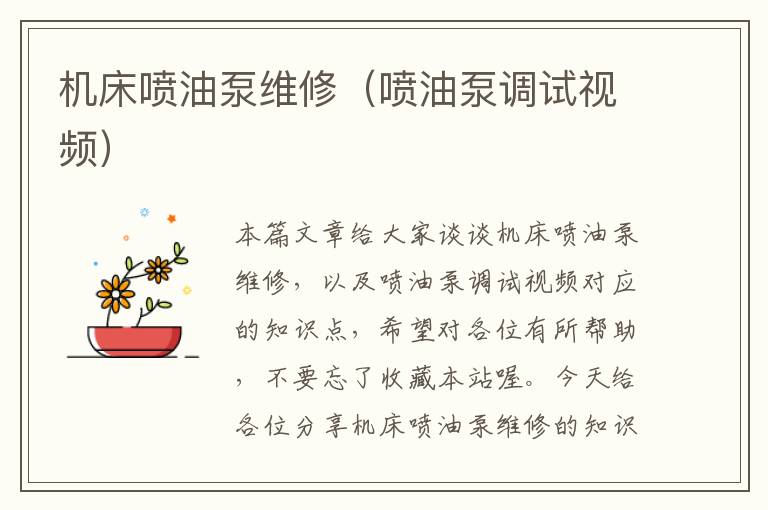机床喷油泵维修(喷油泵调试视频)