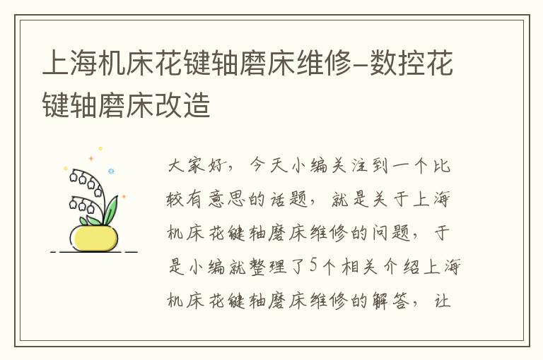 上海机床花键轴磨床维修-数控花键轴磨床改造
