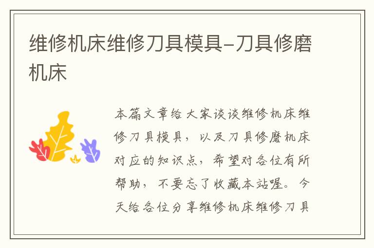 维修机床维修刀具模具-刀具修磨机床